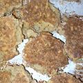 El cooksnap de ani cuando hizo Galletas de Avena y Manzana sin azúcar.