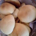 El cooksnap de ceci muñoz cuando hizo Galletitas de fécula de maíz. Sin manteca, ni harina.