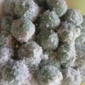 Cooksnap dari NARES untuk resep Klepon / Onde-onde