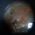 Cooksnap dari Hesti Hermayanti untuk resep Sayur sop ceker ayam