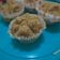 Cooksnap dari Ida Farida untuk resep Bolu kukus gula merah
