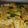 Maryam Shakoor's cooksnap of when they made Passanda_Biryani.