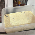 El cooksnap de Valeria Ortega cuando hizo Arroz con leche, receta económica.