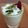 Lata Aswani's cooksnap of when they made Healthy fruits raita.