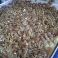 frazzledcook's cooksnap of when they made Best Apple Crisp.