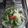 El cooksnap de hariana cuando hizo Ensalada de rúcula, tomates cherry y parmesano.