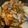 รูป Cooksnap ของ Mo Sorasak เมื่อเขาทำ ซุปหัวไชเท้าใส่กุ้ง | Radish soup with shrimp
