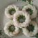 Cooksnap dari bursyah_yunita untuk resep Putu Ayu lembut dan ekonomis