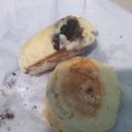 Cooksnap dari Afifah Adelia untuk resep Roti Teflon Tanpa Ulen, Tanpa Oven, Takaran Sendok & Anti Ribet
