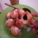 Cooksnap dari Nur Ekayanti untuk resep Donat Ketan