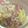 Cooksnap dari Sumi untuk resep Tumis labu siam