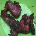 Cooksnap dari Bia Lia untuk resep Ayam Bakar bumbu kecap