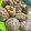 Cooksnap dari agustina untuk resep Nutella Bomboloni