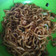 Cooksnap dari Mita untuk resep Mie goreng
