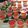 Cooksnap dari Tituk SK untuk resep Puding Semangka