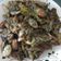 Cooksnap dari Devi arfanAbidzar untuk resep Jengkol balado cabe hijau