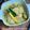 Cooksnap Sesimple Loralin semasa beliau membuat Ayam masak lomak cili padi nogori style.