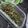 Eve Chang 的 催淚皮蛋 cooksnap