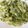 El cooksnap de Mipsiko cuando hizo Pasta con pesto de pistachos.