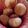 Cooksnap de Regina Fidalgo quando cozinhou Pão de queijo com 3 ingredientes.