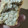 El cooksnap de Gabriela Silveira cuando hizo Pan integral con avena y semillas de chía para panetera.-.