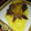 El cooksnap de Tere cuando hizo Costillas al horno con vegetales.