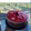 El cooksnap de Mariel Gutierrez cuando hizo Pay Frío de Queso con Fresas.