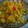 Rupa Pal's cooksnap of when they made পেঁপে শুক্তো (Papaya shukto recipe in Bengali).