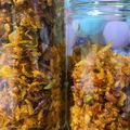Cooksnap dari Apriana Aulia Putri untuk resep Kering Kentang Kacang Renyah Anti Gagal (Kentang Mustofa)