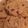 ricmarkr's cooksnap of when they made Oatmeal peanut butter chocolate chip cookies.