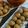 Pooja Pande का कुकस्नैप जब उन्होंने तिल लड्डू (til Laddu recipe in Hindi) बनाया था।