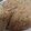 El cooksnap de Eva H cuando hizo Tarta de manzana Streusel.