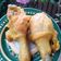 Cooksnap dari Baking With 'Otang' untuk resep Ayam Goreng Upin Ipin