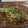 Fakhra Rubab's cooksnap of when they made Mutton qorma.