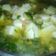 Cooksnap dari Agita Hinata untuk resep Sup tahu udang cincang
