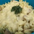 Cooksnap dari Dina Fitri untuk resep Makaroni schchotel kukus