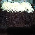 Cooksnap dari sianne untuk resep Brownies kukus ny. liem enaakk lembuuuttt