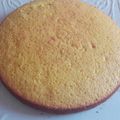 El cooksnap de Verònica Vidal cuando hizo Bizcocho para torta.