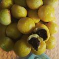 Cooksnap dari Muhammad Fadhl untuk resep Nastar isi Coklat (Chocotar) by @olinyolina
