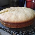 El cooksnap de Carmen Rosa Yesenia Rivas Garcia cuando hizo Torta de limón.