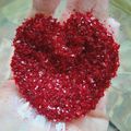 کوک اسنپ 🌛⭐شب⭐🌜 بعد از امتحان کردن اکلیل خوراکی.