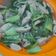 Cooksnap dari 淡紫色的天空 untuk resep Pakcoy saus tiram