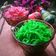 Cooksnap dari Arvina Harahap untuk resep Kembang gula jadoel