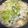 みるく大福's cooksnap of when they made 長ねぎ大量消費！スープしゃぶすき.
