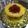کوک اسنپ amir hosein بعد از امتحان کردن تهچین مرغ و قارچ.