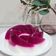 Cooksnap dari Linda Fernando untuk resep 46. Puding Buah Naga
