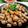 Cooksnap dari Nur Erma untuk resep Kerang Dara Saus Padang Pedas