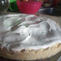 El cooksnap de Zanü cuando hizo LEMON PIE🍋.
