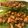 ireneq's cooksnap of when they made Chicken Lettuce Wraps.