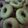 Cooksnap dari "ANNA" untuk resep Donat Pandan Lembut (1 kali Proffing) 🍩